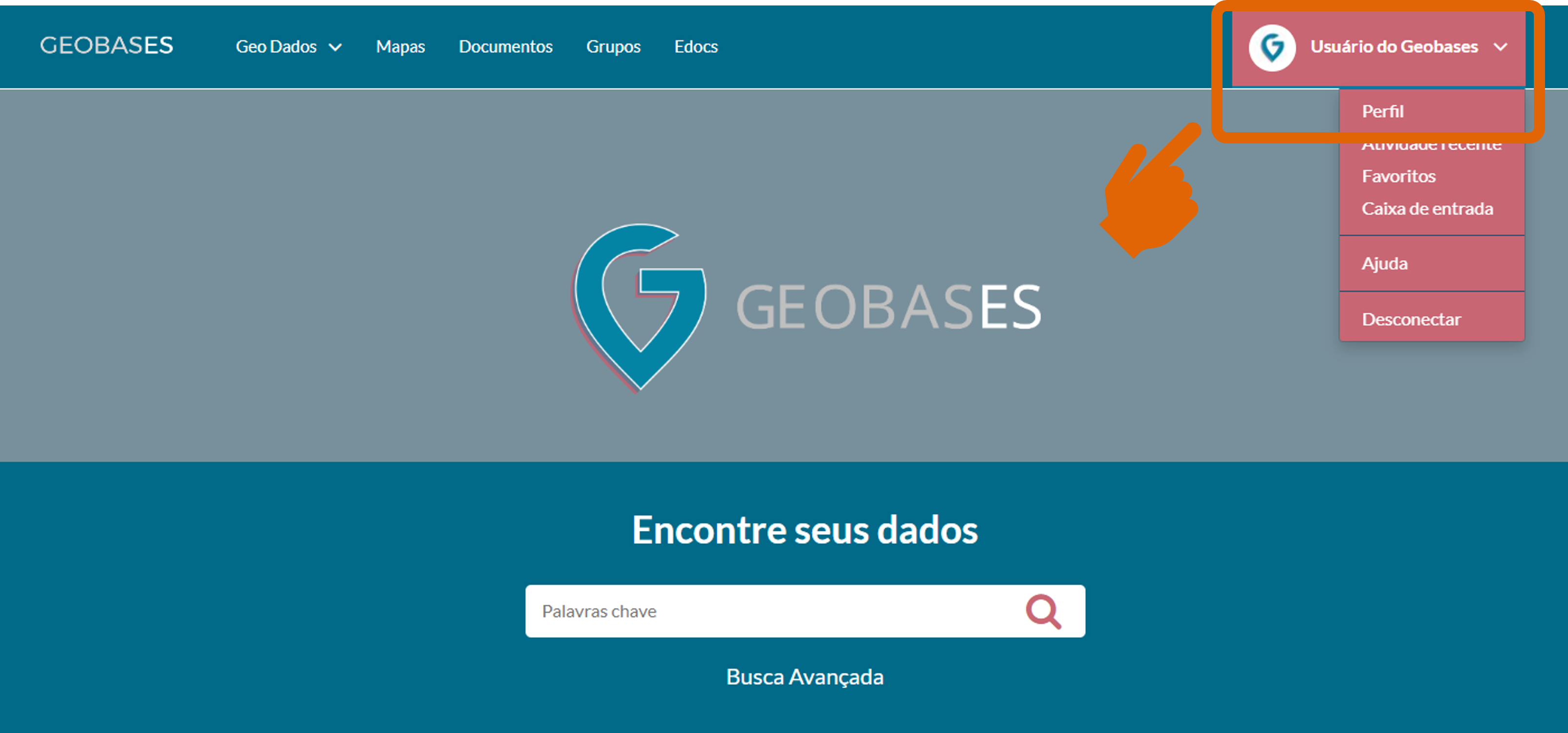 Dados do seu perfil